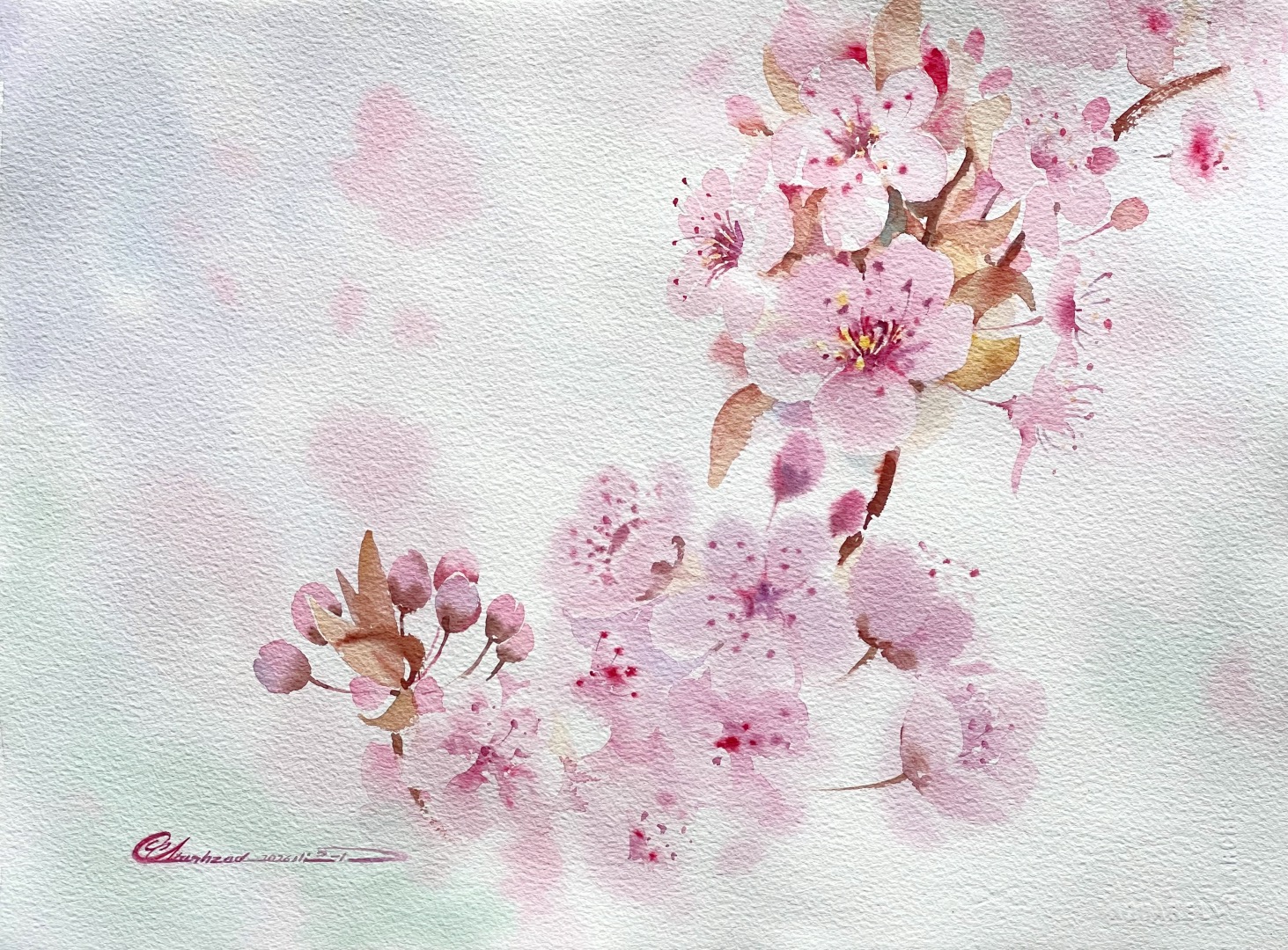 Spring 2026 Art Programs  Mohammad Reza Atashzad  Vancouver BC